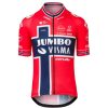 AGU Replica Noorwegen Champion Fietsshirt Team Jumbo-Visma Heren